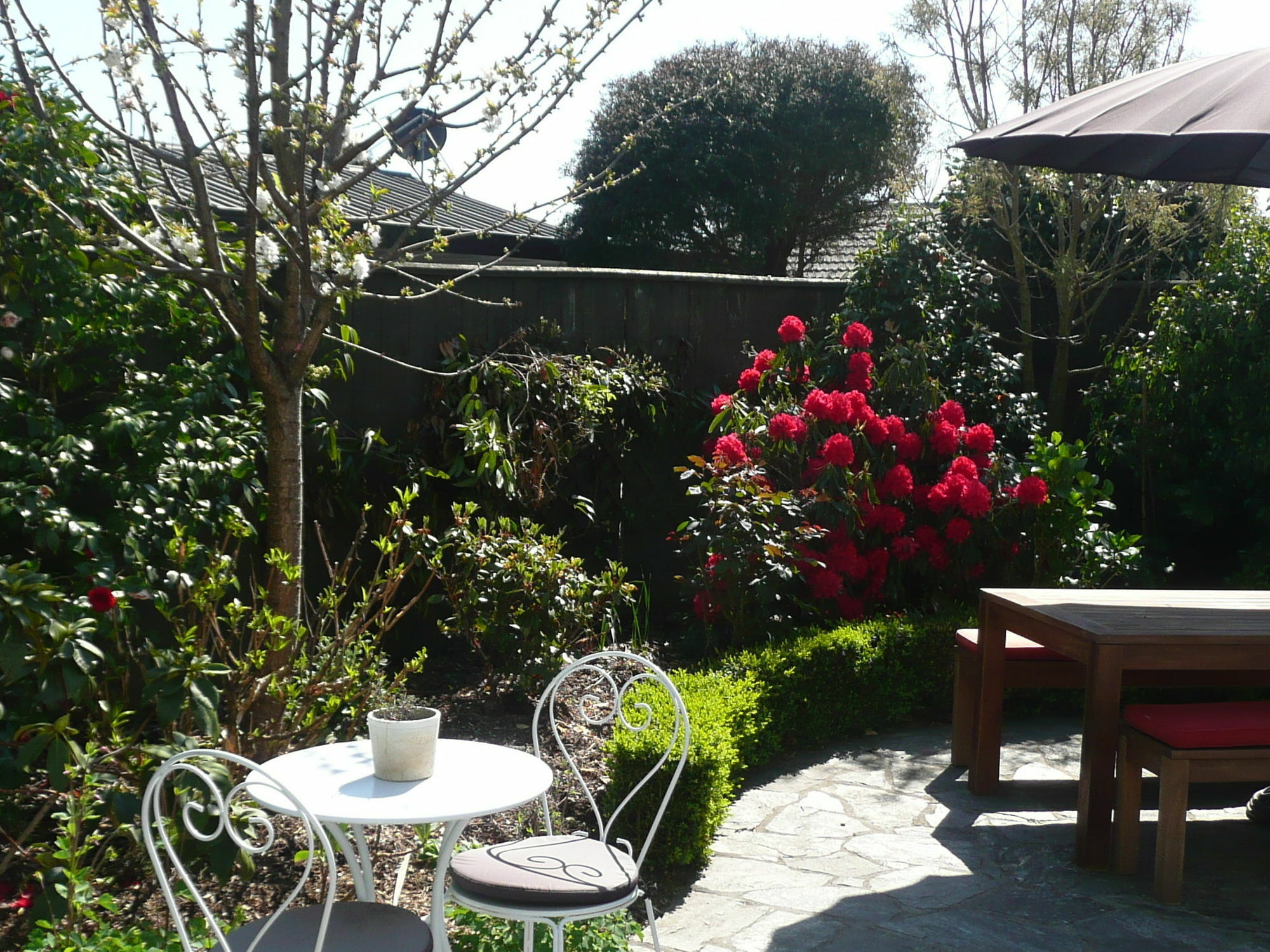 Kershaw House Bed and Breakfast Ρίτσμοντ Εξωτερικό φωτογραφία