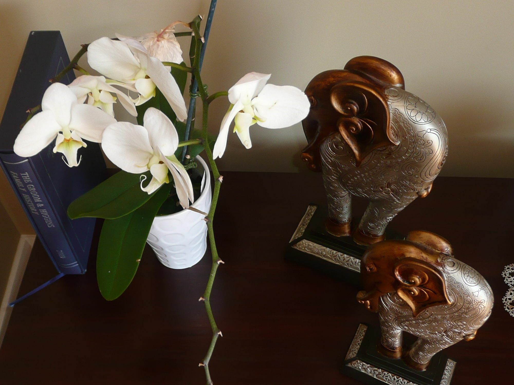 Kershaw House Bed and Breakfast Ρίτσμοντ Εξωτερικό φωτογραφία