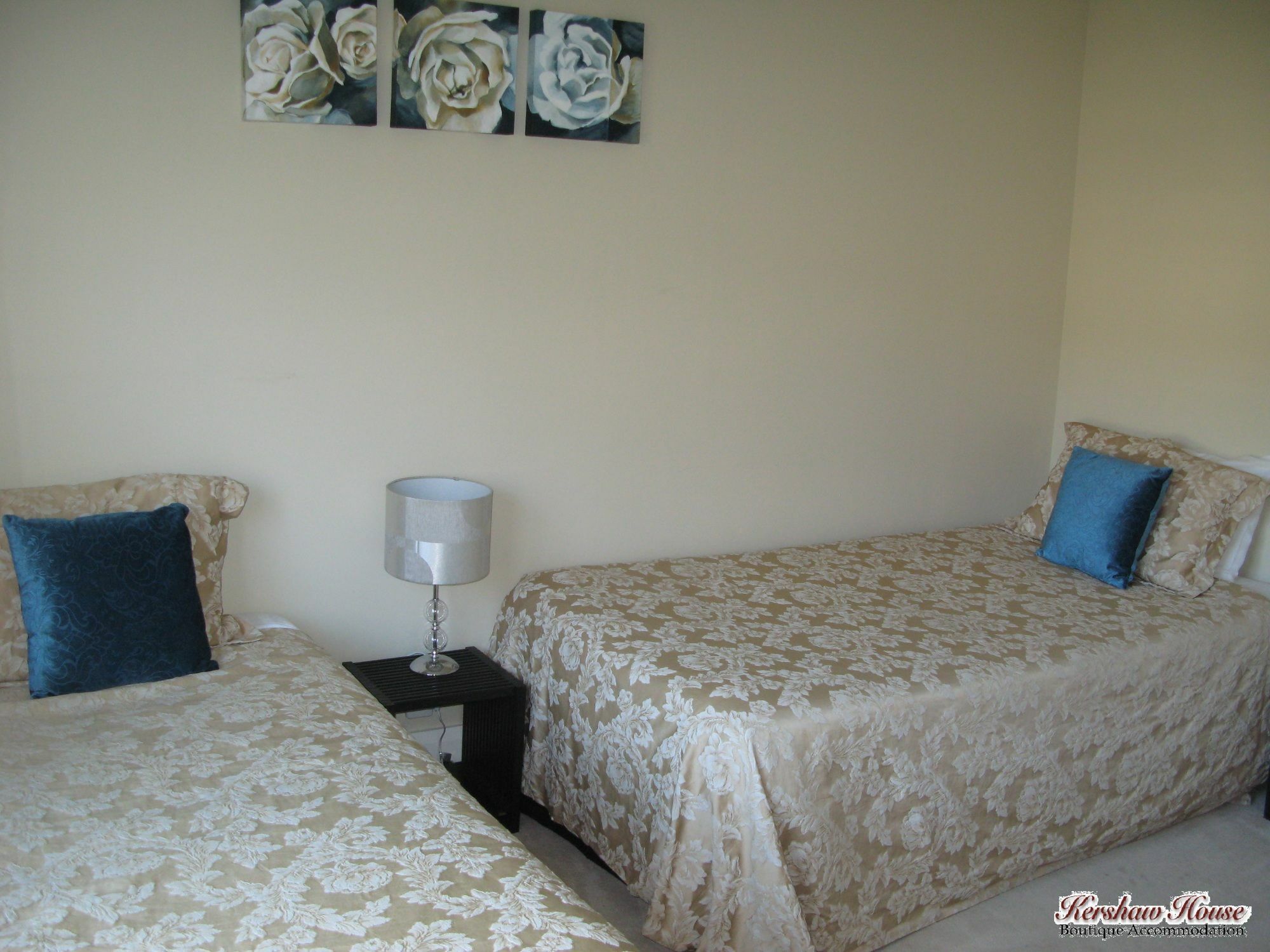 Kershaw House Bed and Breakfast Ρίτσμοντ Εξωτερικό φωτογραφία